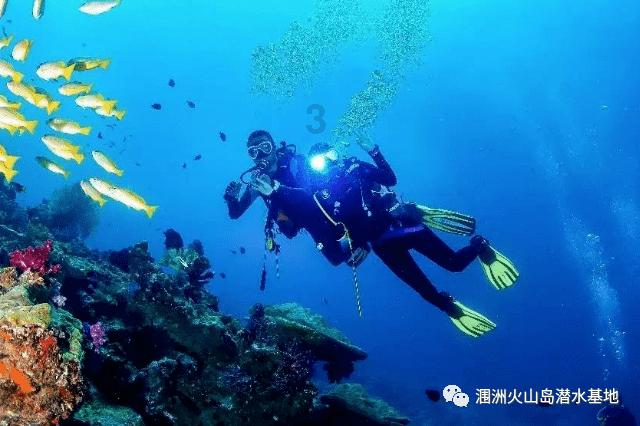 跪姿仰卧起坐的正确做法视频?-专业问答网站
